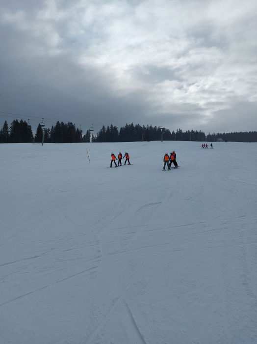ski6.jpg